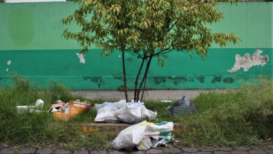 La autoridad deja crecer la hierba en áreas verdes, y los ciudadanos ponen la basura. 