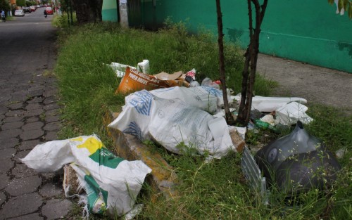 La autoridad deja crecer la hierba en áreas verdes, y los ciudadanos ponen la basura. 