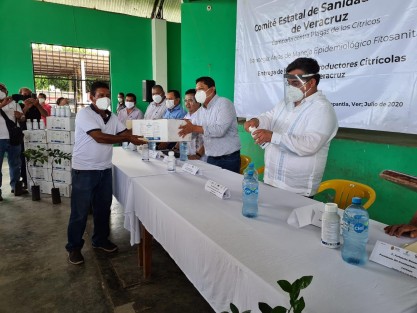 Con el apoyo del Servicio Nacional de Sanidad, Inocuidad y Calidad Agroalimentaria (SENASICA), Veracruz monitorea la presencia de la langosta centroamericana en la zona de la Huasteca, plaga que puede afectar a más de 400 especies vegetales.