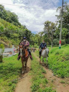 El Alcalde  de Teocelo, Mario Antonio Chama Díaz, el Comandante Serafín Batiza Avelar y elementos de Seguridad Pública Municipal, recorrieron caminos reales  entre las comunidades de Baxtla y Texin, en donde sostuvieron reuniones con propietarios de terrenos y fincas, confirmando la disminución de reportes por robo de plátano y poniendo a disposición el enlace  directo con el Comandante Sarafín Batiza, para reportar de manera directa cualquier incidente. 