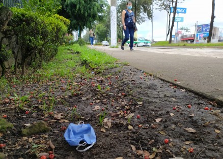 Siguen los cubrebocas tirados en cualquier parte de la ciudad, usados, desechados y tirados sin cuidado.