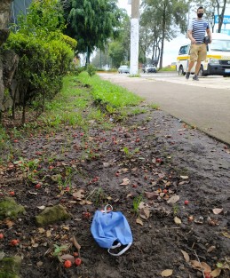 Siguen los cubrebocas tirados en cualquier parte de la ciudad, usados, desechados y tirados sin cuidado.