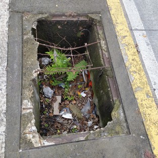 Alcantarilla, toma de agua, registro, o lo que sea cerca del Palacio Legislativo de Veracruz en abandono por largo tiempo, constituyendo un peligro para los peatones, sin que el Ayuntamiento no el Congreso solucionen el problema. 