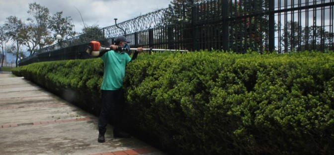 Personal del Palacio Legislativo da mantenimiento a la jardinería.  Al menos todos a los que no se permite el acceso al edificio, tendrán un bonito panorama.  
