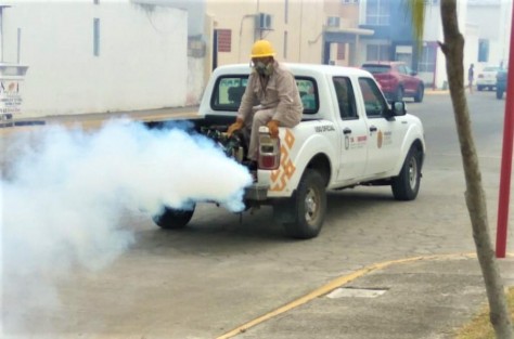 A pesar de la contingencia provocada por el virus SARS-CoV-2, la Secretaría de Salud (SS), a través de la Jurisdicción Sanitaria II de Tuxpan, lleva a cabo acciones para la erradicación del dengue en los municipios de Álamo, Naranjos, Tamiahua, Tepetzintla y Tuxpan. 