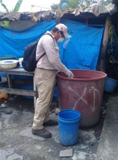 A pesar de la contingencia provocada por el virus SARS-CoV-2, la Secretaría de Salud (SS), a través de la Jurisdicción Sanitaria II de Tuxpan, lleva a cabo acciones para la erradicación del dengue en los municipios de Álamo, Naranjos, Tamiahua, Tepetzintla y Tuxpan. 