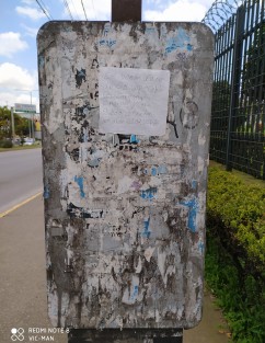 Imagen urbana afuera del Palacio Legislativo.