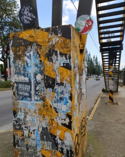 Imagen urbana afuera del Palacio Legislativo.