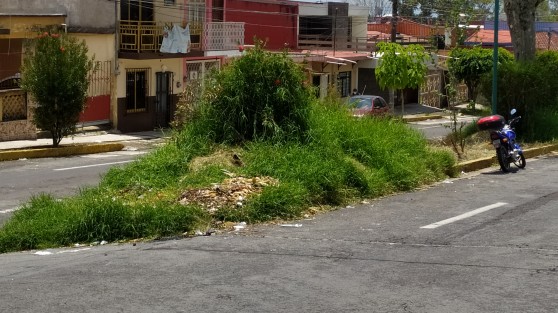 Tanto fue el mitote y ridículo de algunos diputados que según ellos hicieron faena. Ya no se vieron y la Avenida Encanto se ve así.