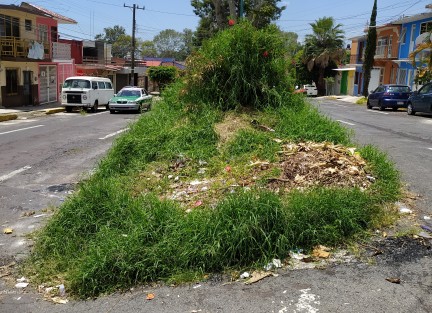 Tanto fue el mitote y ridículo de algunos diputados que según ellos hicieron faena. Ya no se vieron y la Avenida Encanto se ve así.