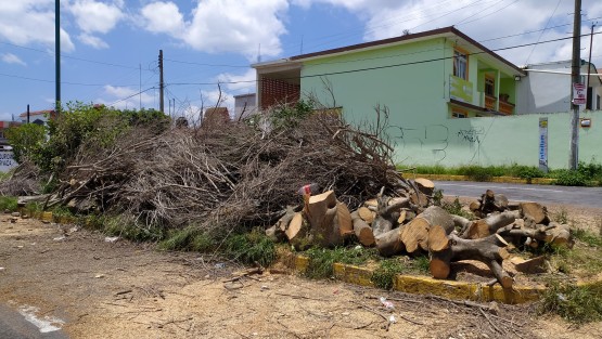 Tanto fue el mitote y ridículo de algunos diputados que según ellos hicieron faena. Ya no se vieron y la Avenida Encanto se ve así. 