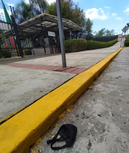 Esto adornaba en Palacio Legislativo, según hicieron faena de limpieza.   