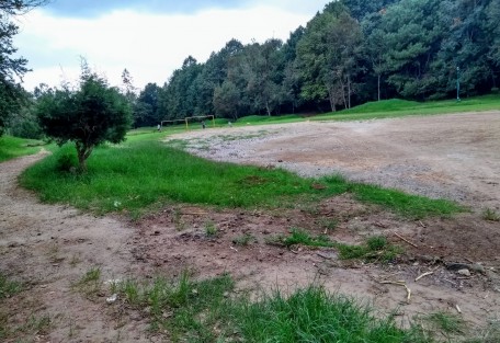 Luego de 5 meses de pandemia, así lucen las canchas de fútbol que se encuentran atrás de la iglesia de los Doce Apóstoles de colonia Veracruz  y que pertenecen al Santuario de las Garzas en la ciudad de Xalapa.  