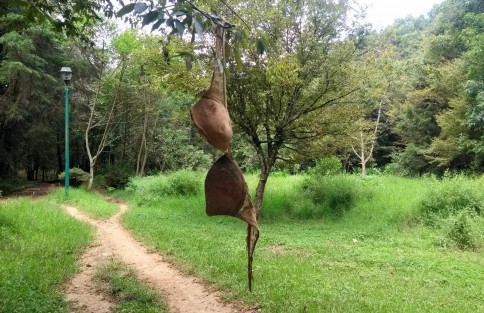En el sitio se puede encontrar ropa interior, residuos de solventes, envases vacíos de bebidas alcohólicas, por lo que a decir de las personas que pasan por ahí cada día temen más por su seguridad. 
