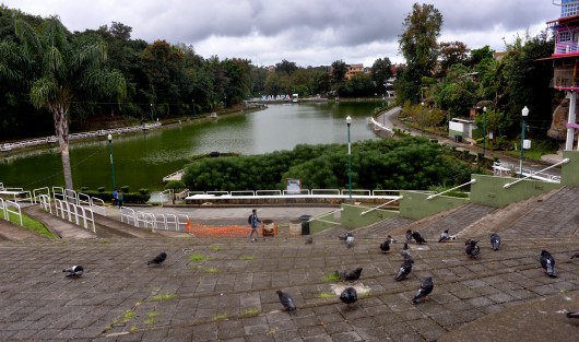 Aunque oficialmente aún no se puede pasear en el Paseo de Los Lagos, muchas personas ya lo hacen con sus mascotas por este sitio, donde se puede observar  algunos peces muertos  y hasta agua apestosa saliendo de una coladera, así como a los peces tanto de comer que lo pueden hasta las cintas de prohibido el paso. 