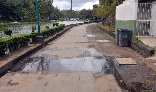Aunque oficialmente aún no se puede pasear en el Paseo de Los Lagos, muchas personas ya lo hacen con sus mascotas por este sitio, donde se puede observar  algunos peces muertos  y hasta agua apestosa saliendo de una coladera, así como a los peces tanto de comer que lo pueden hasta las cintas de prohibido el paso. 