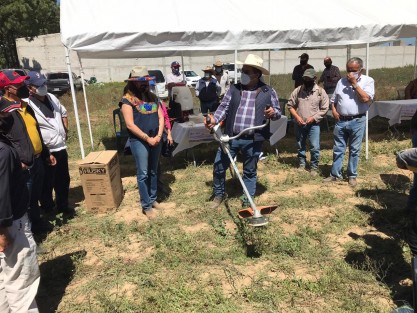 Durante el primer semestre del año, 500 familias de 11 municipios de las Altas Montañas, incorporadas a los Proyectos de Desarrollo Territorial (PRODETER), han sido favorecidas con 10 millones de pesos; principalmente en Totutla, donde hay cinco viveros comunitarios que producirán poco más de 250 mil matas de café. 