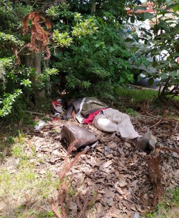 En el camellón en los alrededores de los Palacios Legislativo y Judicial se vio a un hombre tirado durmiendo  o descansando con sus implementos de trabajo para podas. A lo mejor era algún voluntario de la moruna.