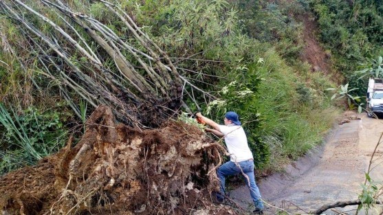 Protección Civil Teocelo, Servicios Generales, Obras Publicas, Desarrollo Urbano, Secretaría del Ayuntamiento y Policía Municipal  continúan trabajando en la carretera Teocelo - Baxtla para remover tierra, piedras y árboles por el deslave registrado la madrugada de hoy; se estima que en breve la circulación estará abierta  en su totalidad.  