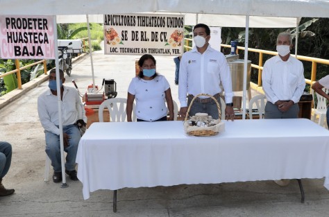  El Gobierno del Estado, a través de la Secretaría de Desarrollo Agropecuario, Rural y Pesca (SEDARPA), proporcionó pies de cría de abejas reinas fecundadas y equipo especializado para la producción de miel y derivados a apicultores de Tlachichilco, Ixhuatlán de Madero, Benito Juárez, Chicontepec, Castillo de Teayo, Tihuatlán y Álamo.

 