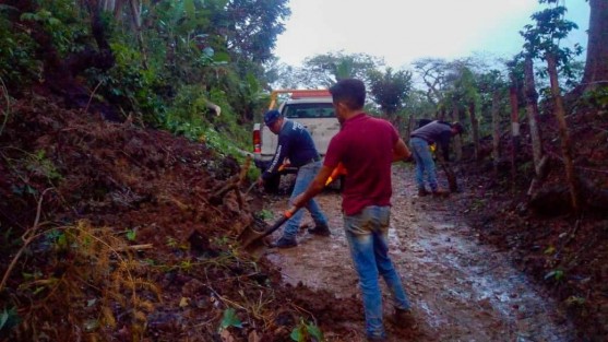• Protección Civil Teocelo y Servicios Generales, continúan con las intensas jornadas de limpieza y remoción de tierra, piedras y árboles debido a deslaves y derrumbes por las intensas lluvias en Camino a la Isla, Texin, Baxtla y El Zapote. 