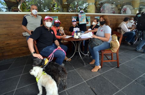 Representantes de varios albergues para animales invitaron a los xalapeños a donar alimento en la primera <em>Cro-lecta</em>, la cual se llevará a cabo los próximos 17 y 18 de octubre. Dijeron que se pretende recolectar más de nueve toneladas de alimento, mismas que serán entregadas, posiblemente en caravana, para evitar aglomeraciones, a todos los albergues que se hayan registrado previamente. 