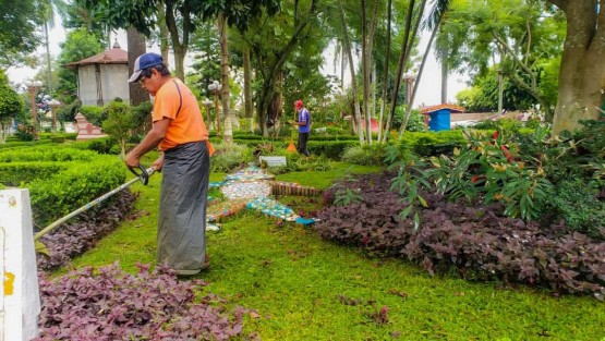 Trabajadores de Parques y Jardines del municipio de Teocelo realizan chapeo y poda de árboles en las áreas verdes del Parque Revolución y en la entrada de la cabecera municipal, con el objetivo de brindar una mejor imagen en la entrada del Municipio de Teocelo y embellecer nuestro centenario parque. Por instrucciones del alcalde Mario Antonio Chama Díaz,  continuarán estas acciones con el fin de mantener en buen estado los espacios públicos en la Tierra del Dios Tigre.