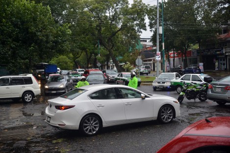 Durante los trabajos de retiro del árbol, el tránsito se vio afectado debido a los trabajos realizados en lugar.