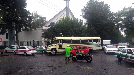 Durante los trabajos de retiro del árbol, el tránsito se vio afectado debido a los trabajos realizados en lugar.
