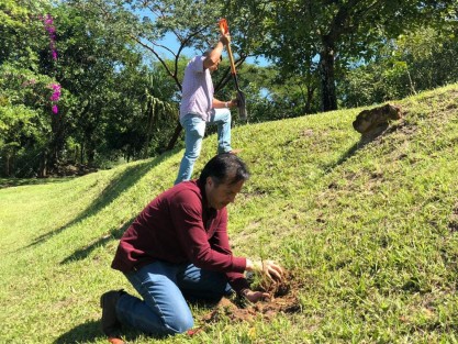 Aprovechando la caminada, el Gobernador Cuitláhuac García se dio tiempo para plantar un árbol en las áreas verdes de los rededores de la capital.