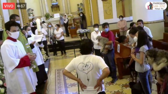 La ya tradicional bendición de mascotas que con motivo de la festividad de San Francisco de Asís se realiza en algunas iglesias de Xalapa, como San José y la de Los Corazones, se realizó de manera virtual, aunque algunos de los pocos feligreses presenciales sí llevaron a sus mascotas al templo.