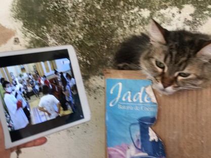 Otras mascotas recibieron la bendición virtual desde la comodidad de sus domicilios. 