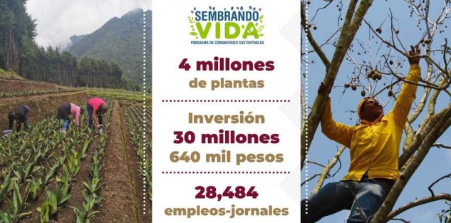 García Jiménez agregó que a través de estas dos áreas, <em>este año hemos limpiado el Río Blanco recogiendo más de 105 toneladas de palizadas y en el sistema Lagunar María Lizamba 339 mil m3 de lirio acuático generando 87 empleos temporales. También se produjeron 240 mil litros de solución sanitizante y se han sanitizado 15,470 unidades de transporte público.</em>