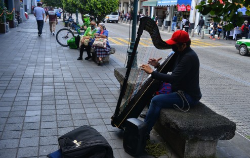 Tocando el arpa por unas monedas. 