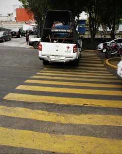 Se quejan de falta de atención a camellones y así llegan haciéndose notar.