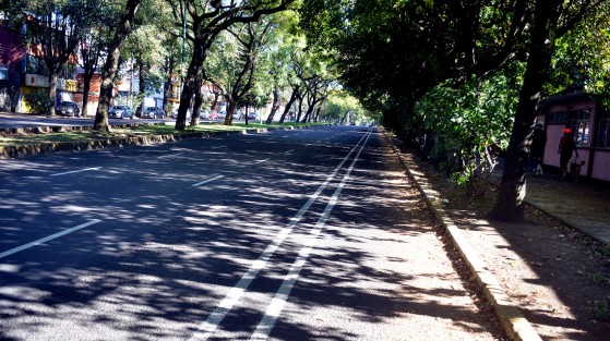 Así luce la temida obra de la ciclovía en la avenida Ruiz Cortines, que desató inconformidades, quejas y denuncias por el temor a provocar afectaciones y cierre de negocios en la zona.  