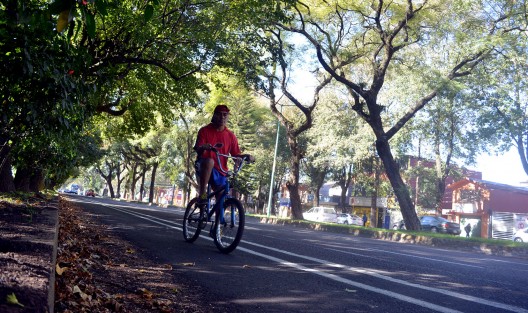 Así luce la temida obra de la ciclovía en la avenida Ruiz Cortines, que desató inconformidades, quejas y denuncias por el temor a provocar afectaciones y cierre de negocios en la zona.  