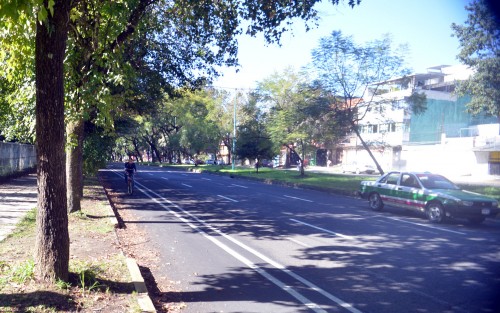 Así luce la temida obra de la ciclovía en la avenida Ruiz Cortines, que desató inconformidades, quejas y denuncias por el temor a provocar afectaciones y cierre de negocios en la zona.  