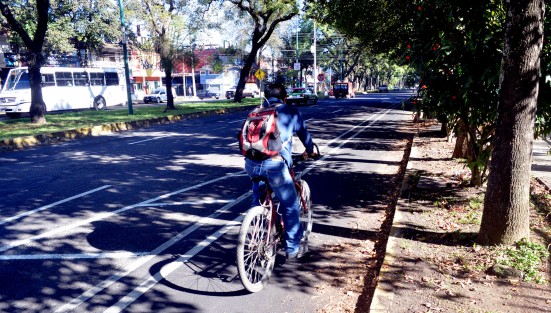 Así luce la temida obra de la ciclovía en la avenida Ruiz Cortines, que desató inconformidades, quejas y denuncias por el temor a provocar afectaciones y cierre de negocios en la zona. Como se observa, la obra consiste en bacheado y pintura en un ancho que no alcanza ni el metro y medio de la avenida, por la que en efecto, ya se ven ciclistas. Ni tan magna la obra, ni tan grande la tragedia.