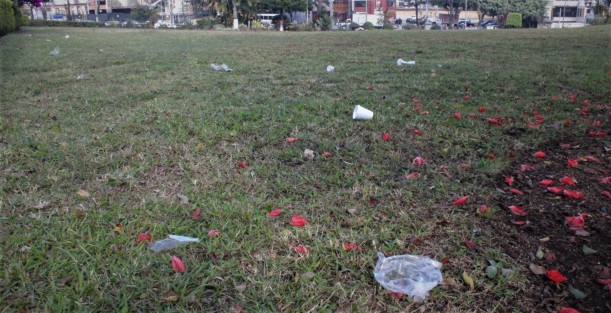 Lo maestro no implica lo educado, y así quedaron algunas jardineras del Palacio Legislativo, luego del apoyo magisterial al Secretario de Educación.
