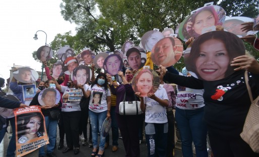 Integrantes de los colectivos Enlaces Xalapa y Buscando Desaparecidas y Desaparecidos de Veracruz  se reunieron en el parque Juárez de la capital para colocar fotos en forma de esfera en una araucaria.  Fueron apoyados por personal del ayuntamiento.
