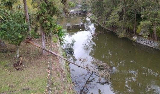 Así luce en estos días el Paseo de los Lagos en Xalapa, sin paseantes y con no muy buena imagen, al igual que el llamado Lago de los Patos, sin patos. 