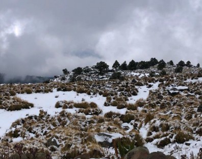 Bellas postales dejó la nevada que cayó la tarde-noche de ayer domingo en el Cofre de Perote.