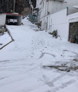 Bellas postales dejó la nevada que cayó la tarde-noche de ayer domingo en el Cofre de Perote.