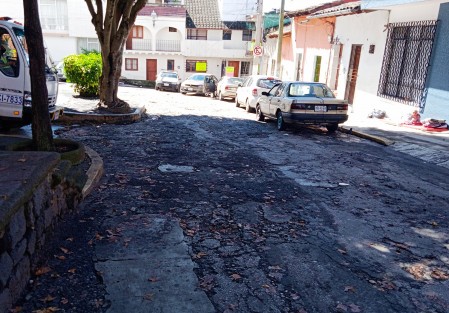 En pésimas condiciones se encuentra la calle Alfonso Güido del centro de Xalapa, a pesar de estar a sólo una calle de Palacio  Gobierno. Ni autoridades estatales o municipales hacen por repararla. 