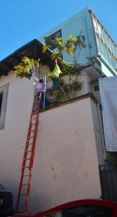 Trabajadores de la construcción laboran en las alturas sin medidas de seguridad y muchas veces sin seguro. 