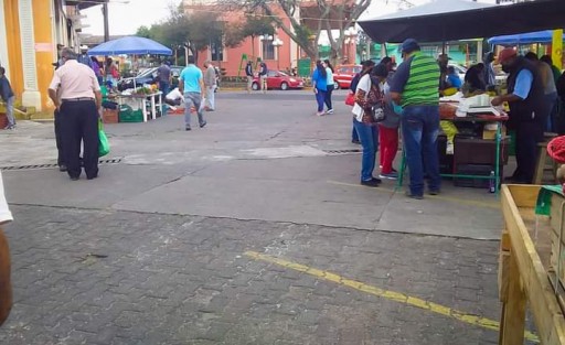 El Titular de Comercio en Teocelo, Ver.,, Francisco Villa Carrera en coordinación con PC y Seguridad Pública, supervisaron la actividad en el tianguis dominical en la calle Juárez y Zaragoza de la cabecera siguieran las medidas de prevención sanitarias; además dotaron de gel antibacterial en la entrada del Tianguis.