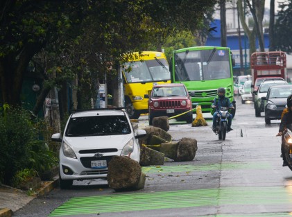  Dicen los que saben que ahora Ruiz Cortines se va llamar <em>Piedro Hipólito<em>  esto luego de fueron colocadas la madrugada de ayer unas enormes piedras sobre la ciclovía para evitar  que los automovilistas  se estacionen sobre ésta.