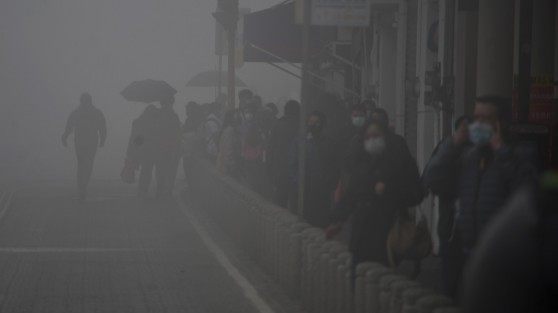 Tales sistemas ocasionarán en el estado de Veracruz las siguientes condiciones: Martes 16: Nieblas, lloviznas y lluvias de 5 a 15 mm. Viento del Norte con rachas de 30 a 45 km/h en las costas decreciendo y rolando al Noreste y Este. Ambiente frío a muy frío en montaña y fresco a templado en llanura y costa. 