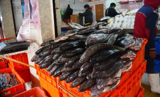 Los negocios de pescados y mariscos del mercado La Rotondan lucen desolados este primer viernes de Cuaresma; los vendedores esperan que el clima también haya influido y para los próximos días todo mejore.